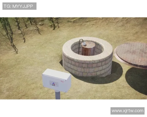 全面解析Fengyue辅助保护的功能与应用前景探讨